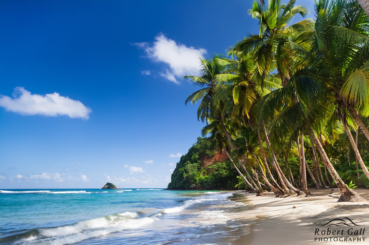 visa free countries for nigeria dominica